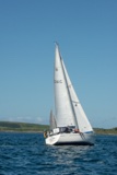 clann 2241c whyw22 sun 800_1959yi
